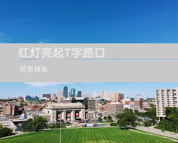 红灯亮起T字路口 可否掉头